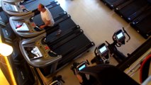 GYM TONIC izmit fitness-plates-spor salonu sağlıklı yaşam merkezi merkezi