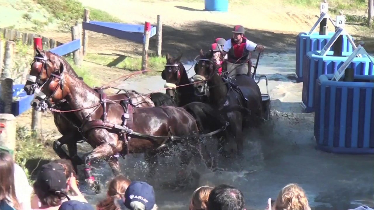 CAI SAUMUR 2014