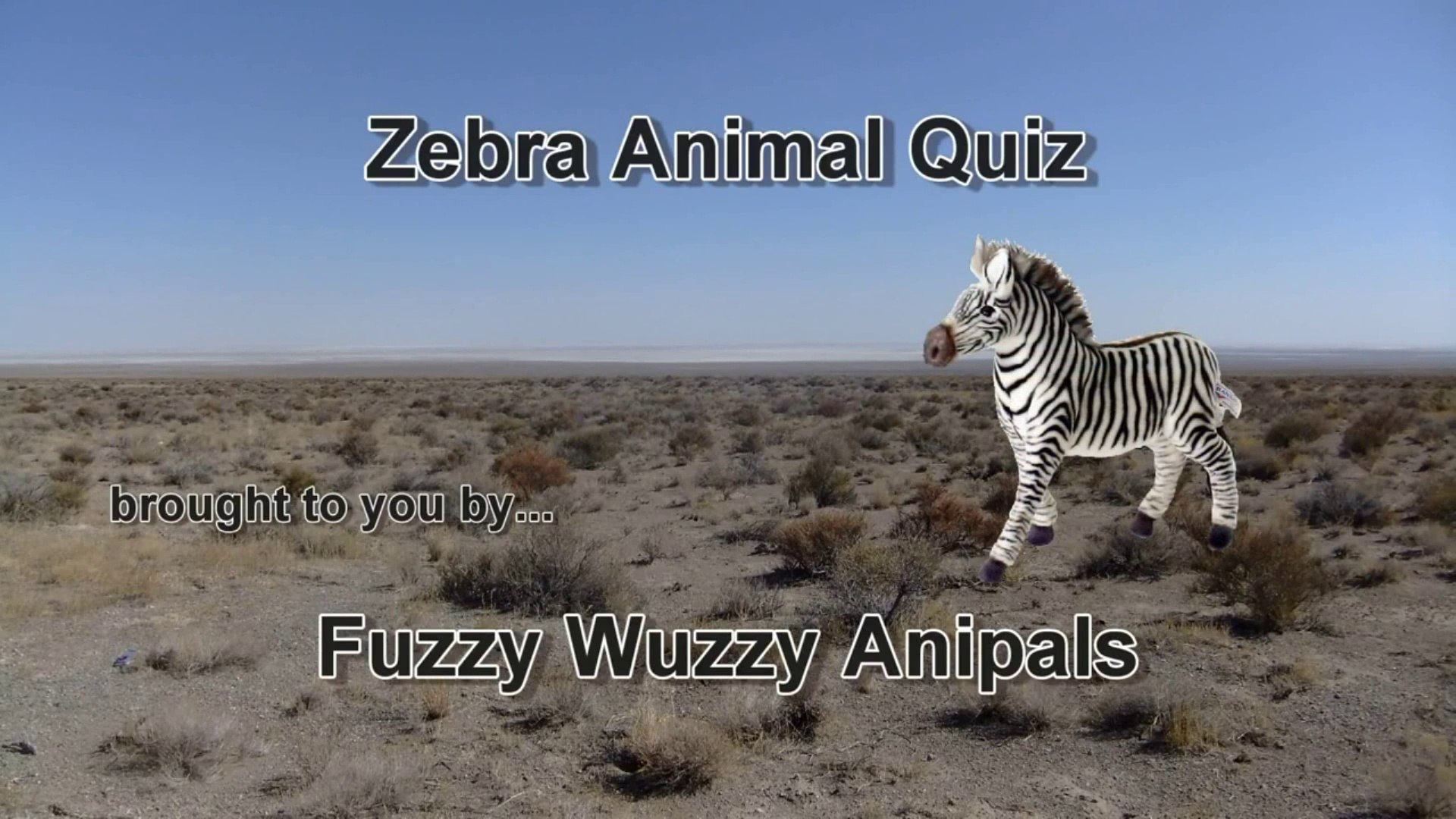 ⁣Zebra Animal Quiz