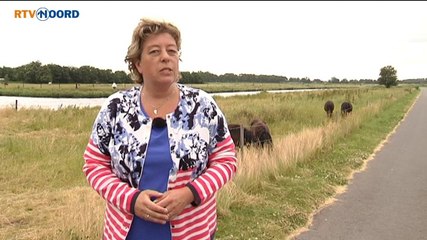 Het Weer [24-6-2014] - RTV Noord