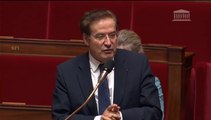 Pierre-Alain Muet, Projet de loi de finances rectificatif 2014, 23 juin 2014