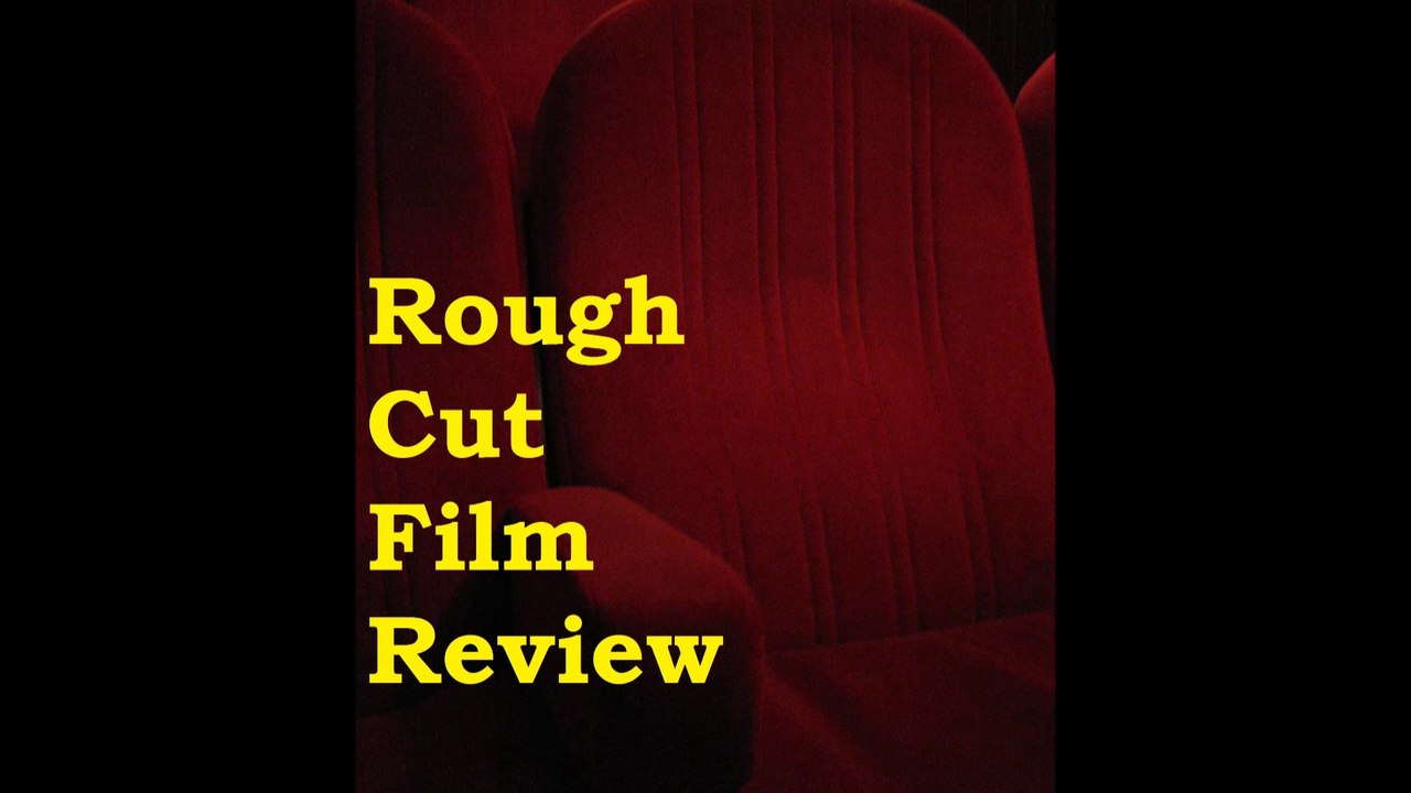 Rough Cut Film Review The Raid 2