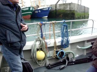 Trip to the Great Saltee Island, from Kilmore Quay, Wexford, Ireland. May 2014