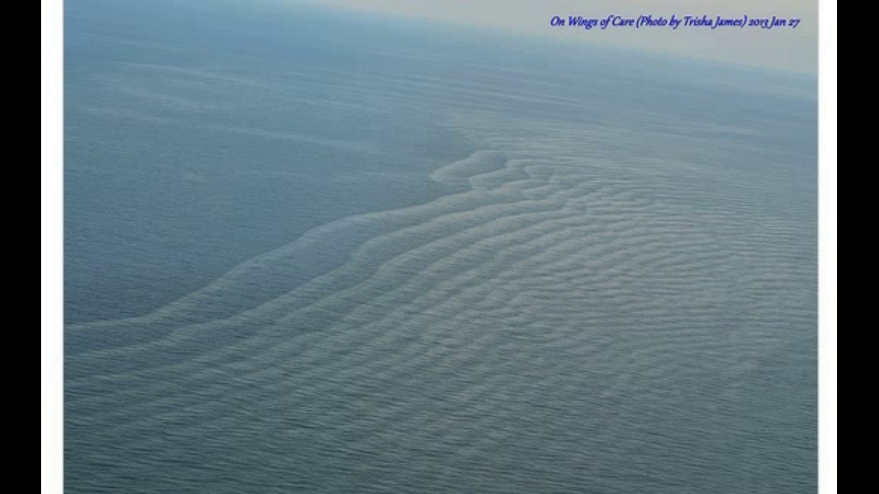 4 MIN NEWS TAT'S Odd Ribbon Ripples’ Near BP Deepwater Horizon Disaster