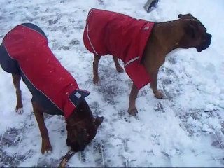 Why did you stop shoveling