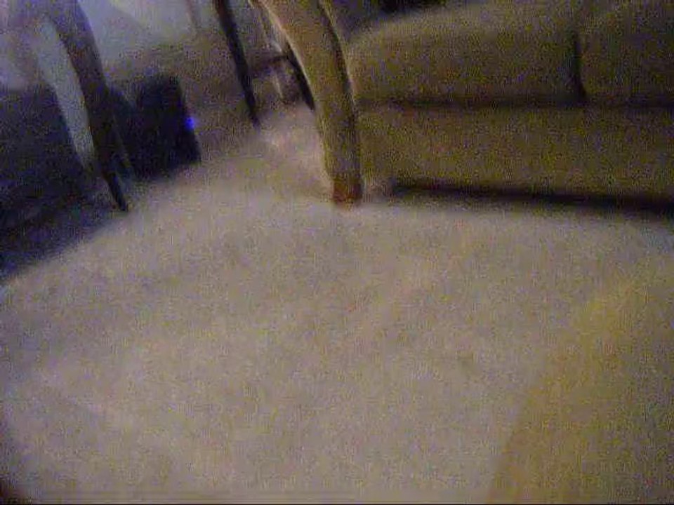 Wheres your bone_