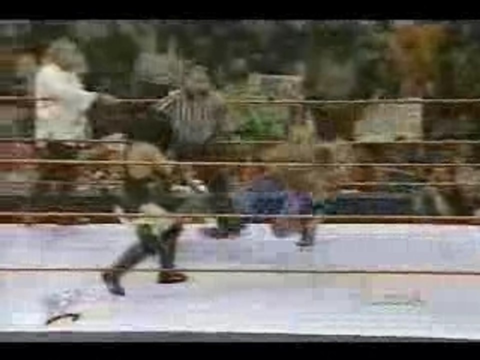 Kane & X-Pac vs The Brood