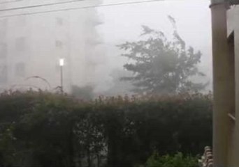 Heavy Hail Hits Tokyo