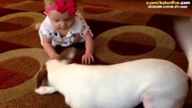 Bebeğe Emeklemeyi Öğreten Köpek