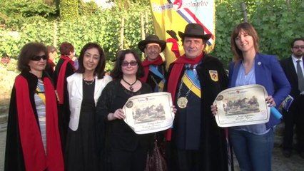 Délégation de l'Argentine avec la RDM dans les vignes