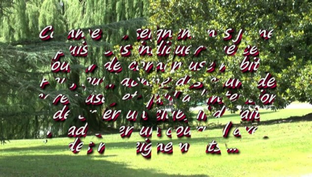 LES DECOUVERTES DE MICHOU W-D.D. - SAVEZ VOUS QU'A PAU IL Y A - REGARDEZ ET ECOUTEZ..