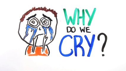 Why Do We Cry