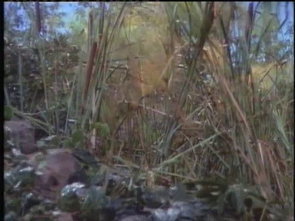 Samson & Delilah Christian Movie In Urdu Part 5