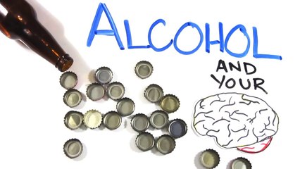 Your Brain on Drugs Alcohol