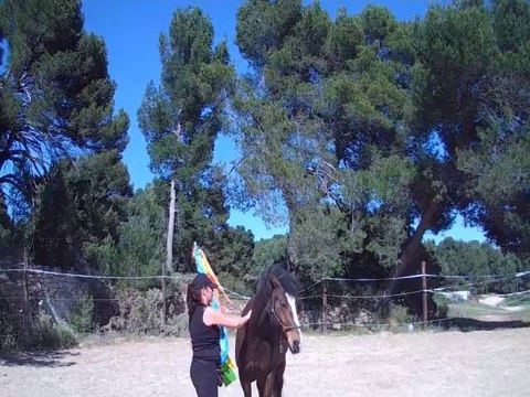 Travail en liberté avec le P'tit Suisse