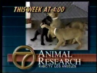 Frisco and Felicia The Takedown of Mr B 5