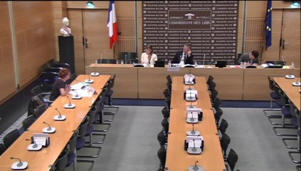 Audition de Mme Claudine Bansept, chargée de mission au conseil national des villes - Mardi 24 Juin 2014