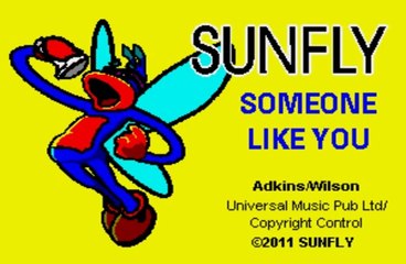 ADELE KARAOKE SOMEONE LIKE YOU with LYRICS