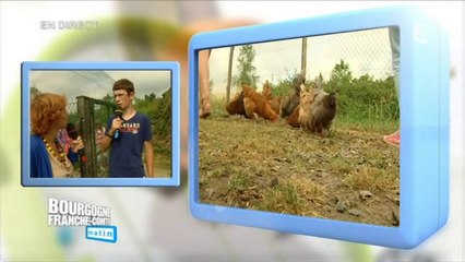 Direct Matin à Villers-les-Pots : Adopter des poules pour réduire ses déchets