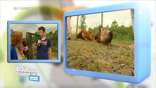 Direct Matin à Villers-les-Pots : Adopter des poules pour réduire ses déchets