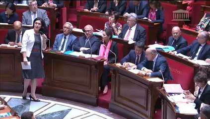 Question au gouvernement - Logement - 24 juin 2014