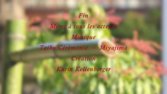 Les cahiers de l'Aikido avec Michel Erb Sensei Part 4 L'unité de corps