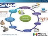 Sap Material Management(MM) Online Training In SOUTHAFRICA