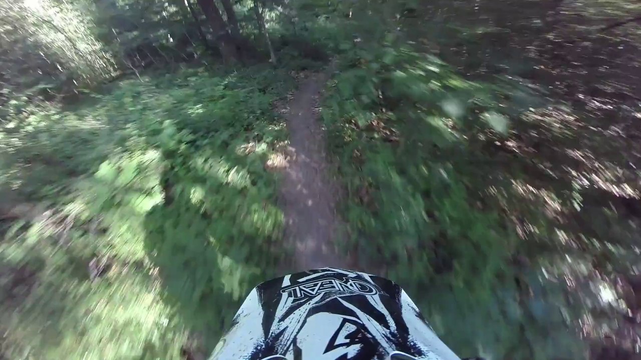 Freeride Downhill Bietigheim Bissingen 2014