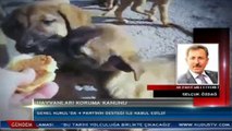 KUDÜS TV ANA HABER BÜLTENİ CANLI TELEFON BAĞLANTISI (20 HAZİRAN 2014)