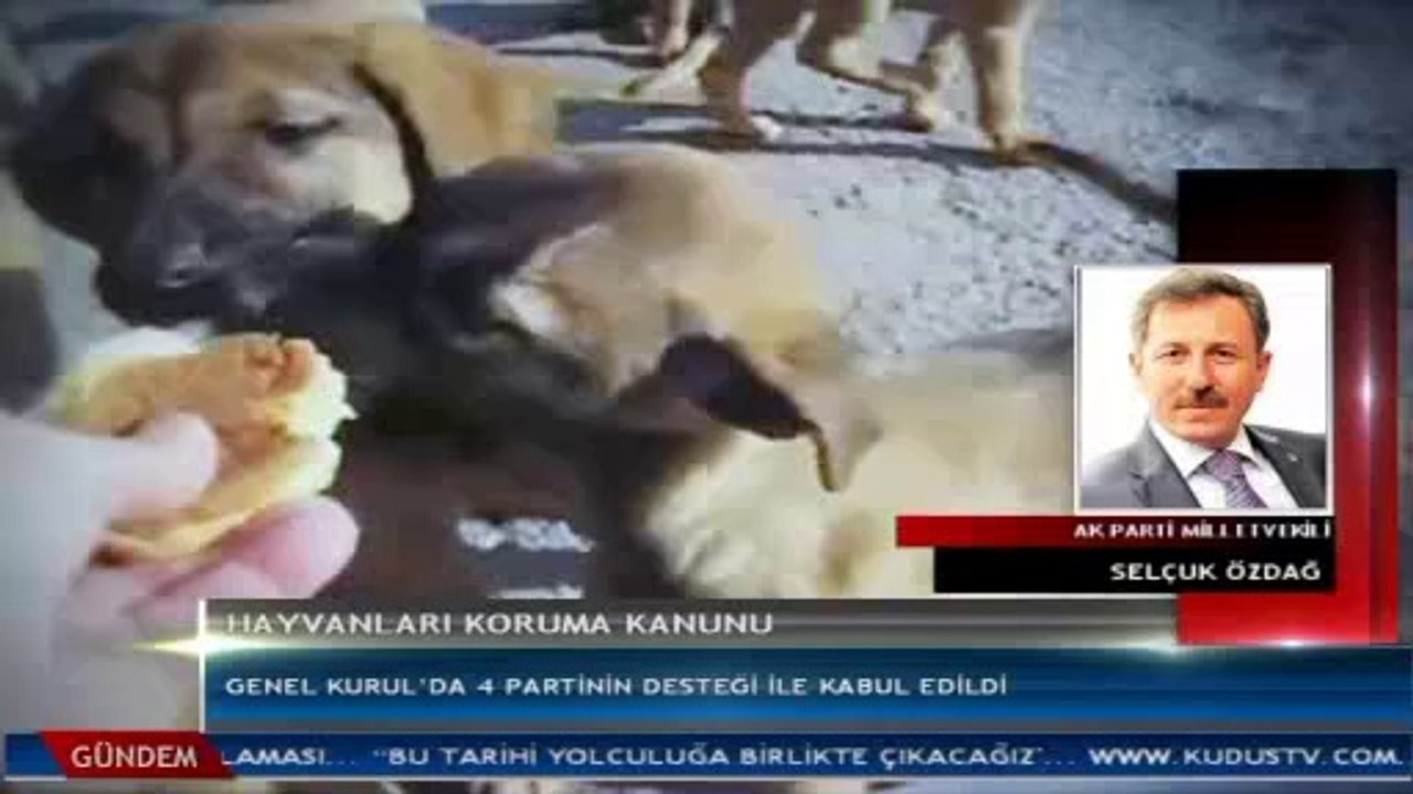 KUDÜS TV ANA HABER BÜLTENİ CANLI TELEFON BAĞLANTISI (20 HAZİRAN 2014)