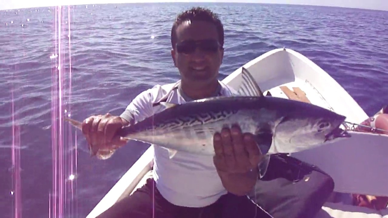 TROFE YAZILI ORKINOS AVI KEYFI - www.adrasanbalik.com