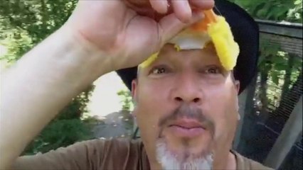 Saurez-vous retrouver le poussin ?