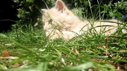 dans quelle direction regarder ?