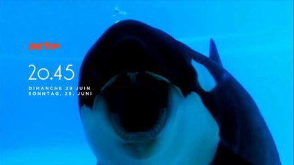 L'Orque tueuse - 29 juin 2014 - Bande Annonce Arte