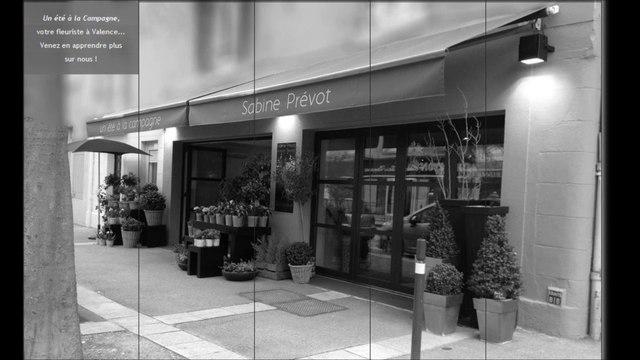 Livraison de Fleurs à Valence, Sabine Prévot, 203 Avenue Victor Hugo, 26000