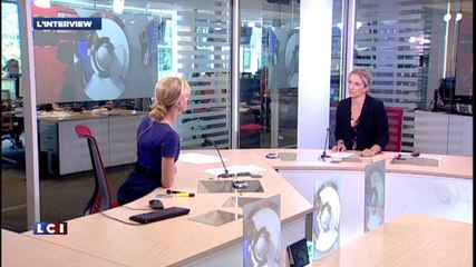 Interview Delphine Batho - LCI - Parlons-en - 25-06-2014