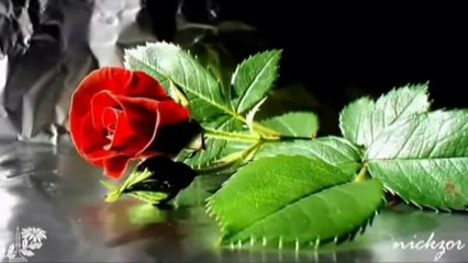 Ferhat Göçer - Yastayım