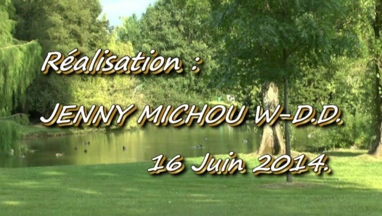 LES W-D.D. MICHOU MONDAY NEWS - 16 JUIN 2014 - LE CONCERT DE L'HARMONIE  PALOISE KIOSQUE DU PARC BEAUMONT 15 JUIN 2014.