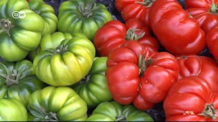 سلطة مع الخبز من توسكانا | يوروماكس