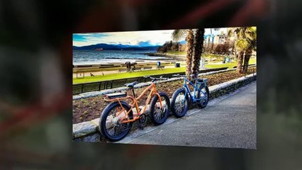 Electric Mountain Bikes