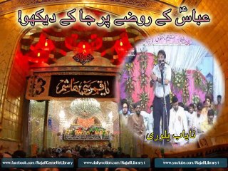 Abbas(A.S) Kay Rozay Par Jaa Kay Dekho - Nayab Halori