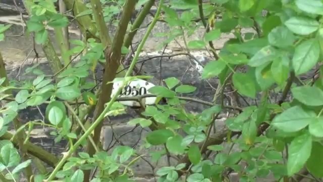 St Michael Hildesheim