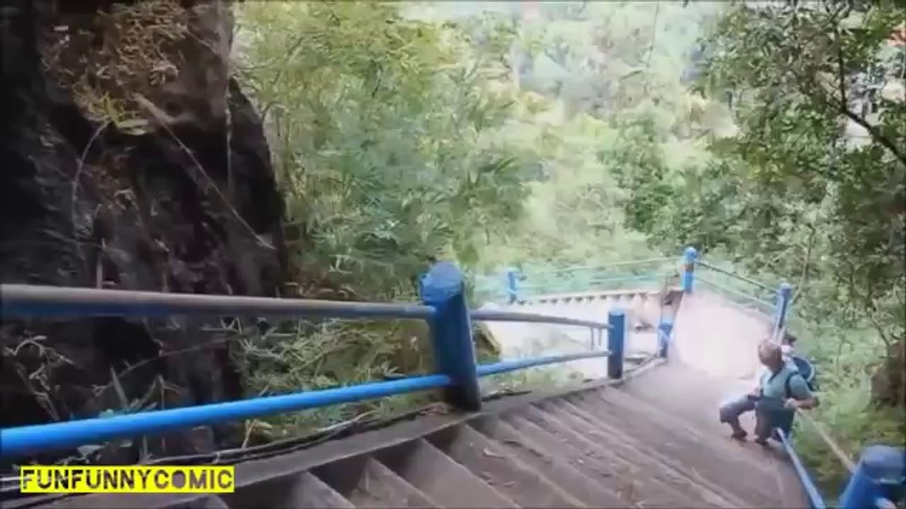 Funny animals. Śmieszne zwierzęta