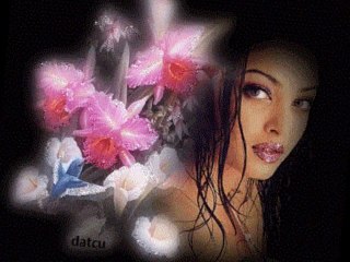 LİNET-NE YAPTIYSAN KALK GEL