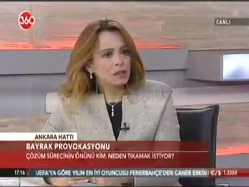 Dağa Kaçırılan Çocuklar, Bayrak Provokasyonu Değerlendirmesi - Şanlıurfa Milletvekili Zeynep Karahan USLU