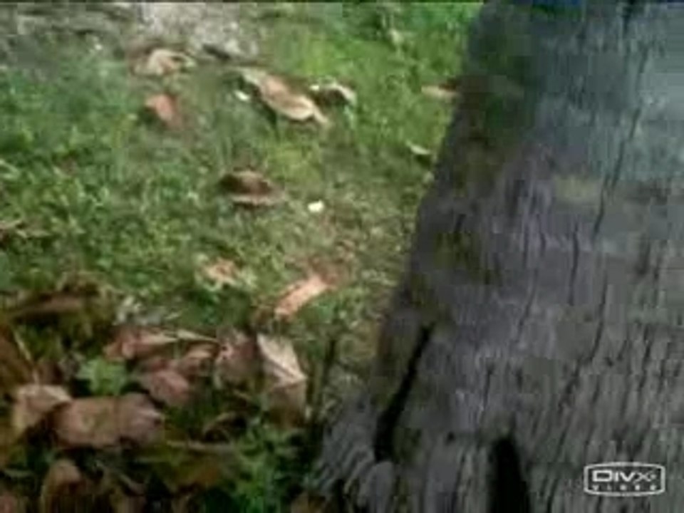 4msC Ubin Trip Part 2