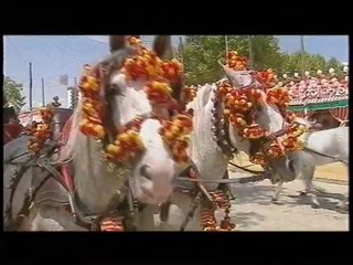 Movida Opus 4 : pop en espagnol se dit pop