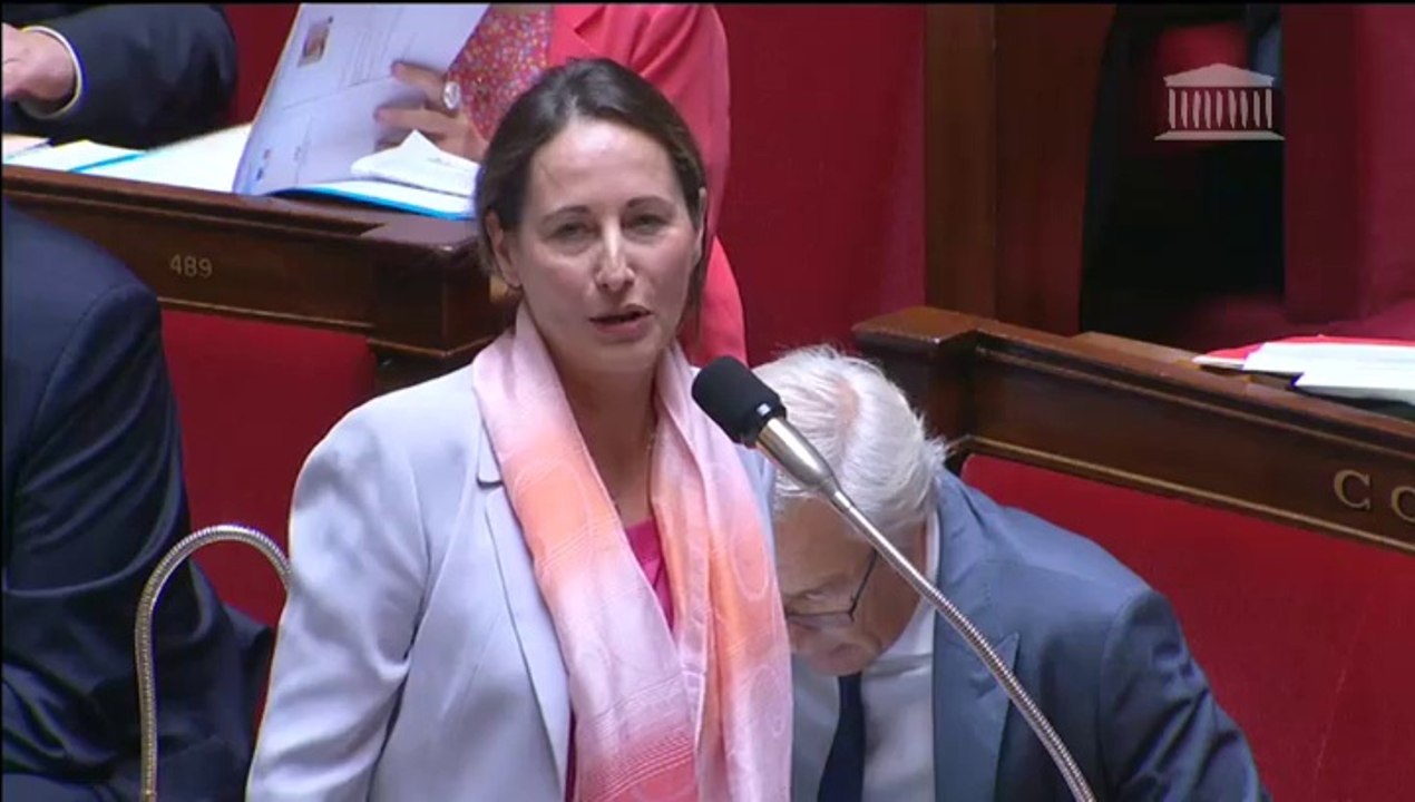 S. Royal répond à une QAG de S. Rohfritsch au sujet des tarifs de l'électricité