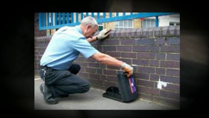 Rat Pest Technician in London