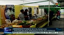 Miles de familias peruanas se dedican a la agricultura parcelaria